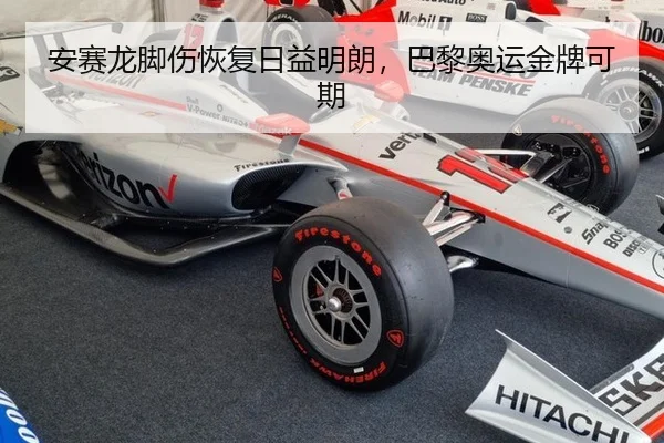 安赛龙脚伤恢复日益明朗，巴黎奥运金牌可期